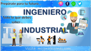 Ingeniero Industrial